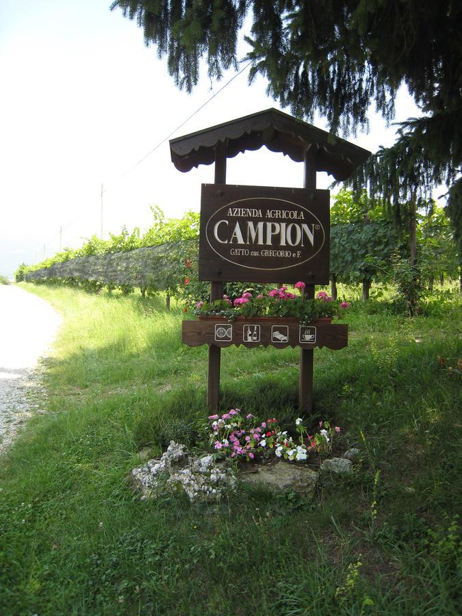 Azienda Agricola Campion Valdobbiadene Bagian luar foto
