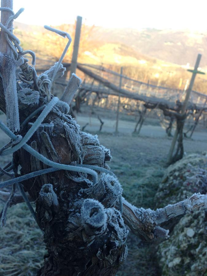 Azienda Agricola Campion Valdobbiadene Bagian luar foto
